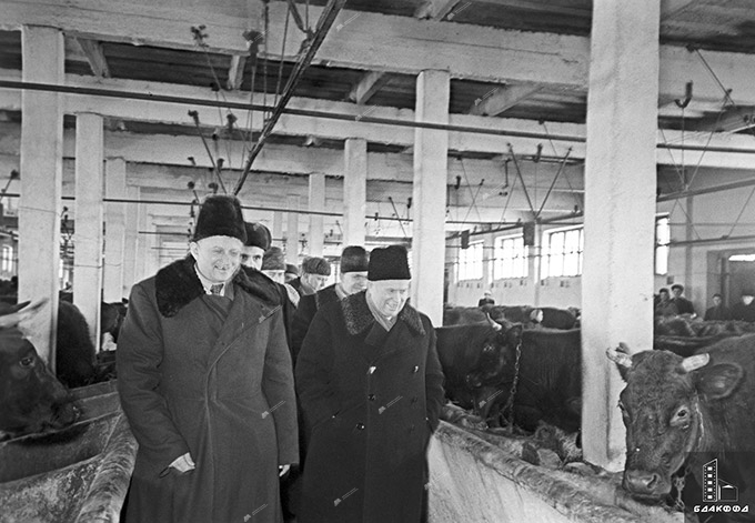 The first secretary of the Central Committee of the CPSU, N.S. Khrushchev, inspects the livestock farm of the collective farm.Gastello, Minsk district, January 20, 1958, Minsk region. BelTA photo chronicle, P.Novatorov, V.Lupeiko-стр. 5