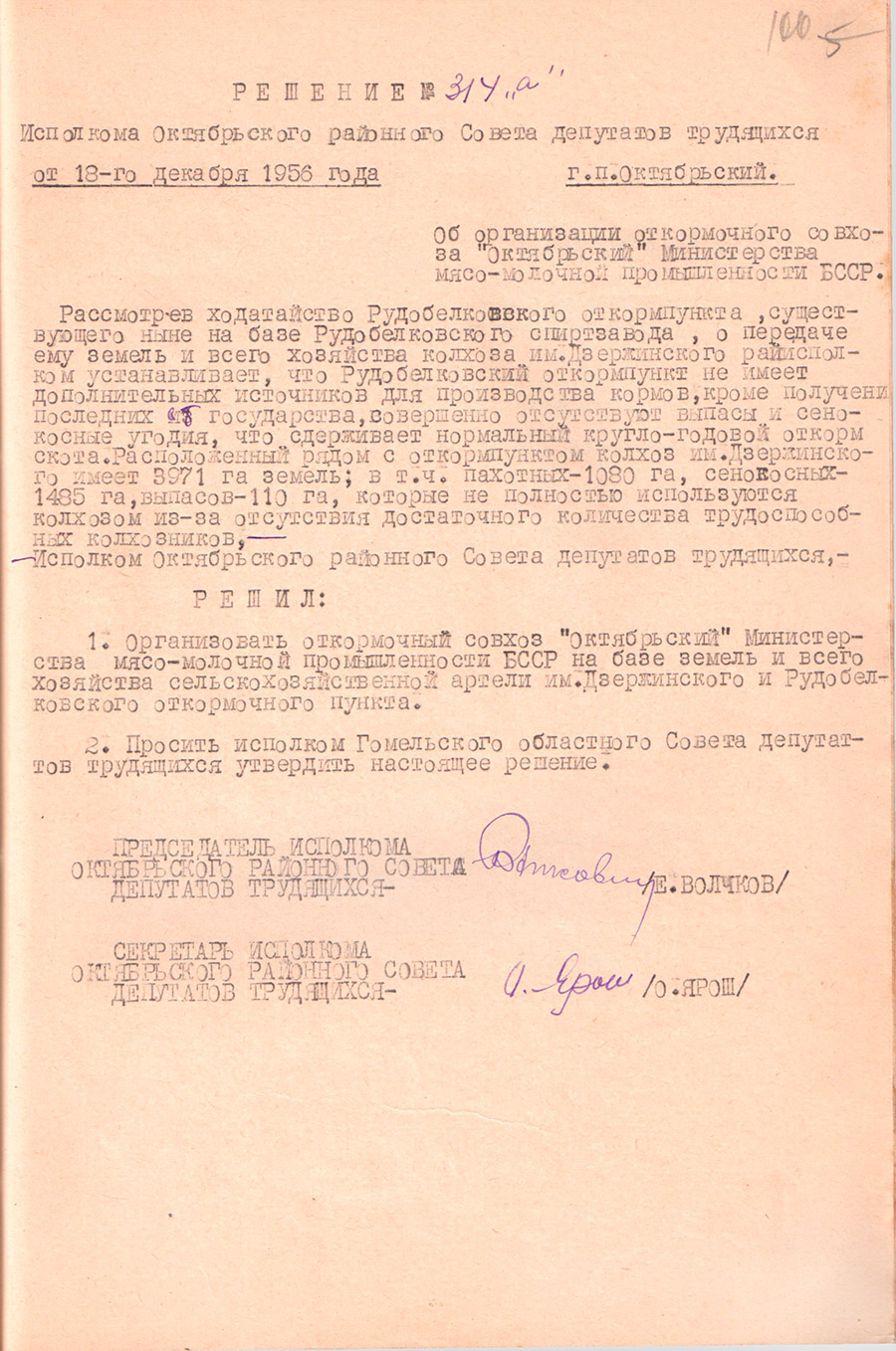 Решение № 314а Исполнительного комитета Октябрьского районного Совета депутатов трудящихся «Об организации откормочного совхоза «Октябрьский» Министерства мясо-молочной промышленности БССР»-стр. 0